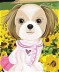 Thumbnail of Pet Dress Up 12